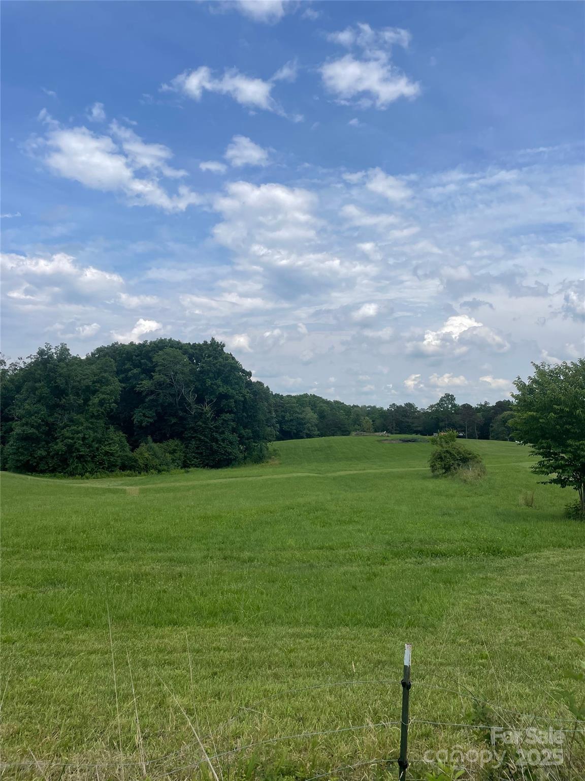 520 Eagle Mills Road Hamptonville, NC 27020 - Photo 4 of 14 a view of an ocean from a yard