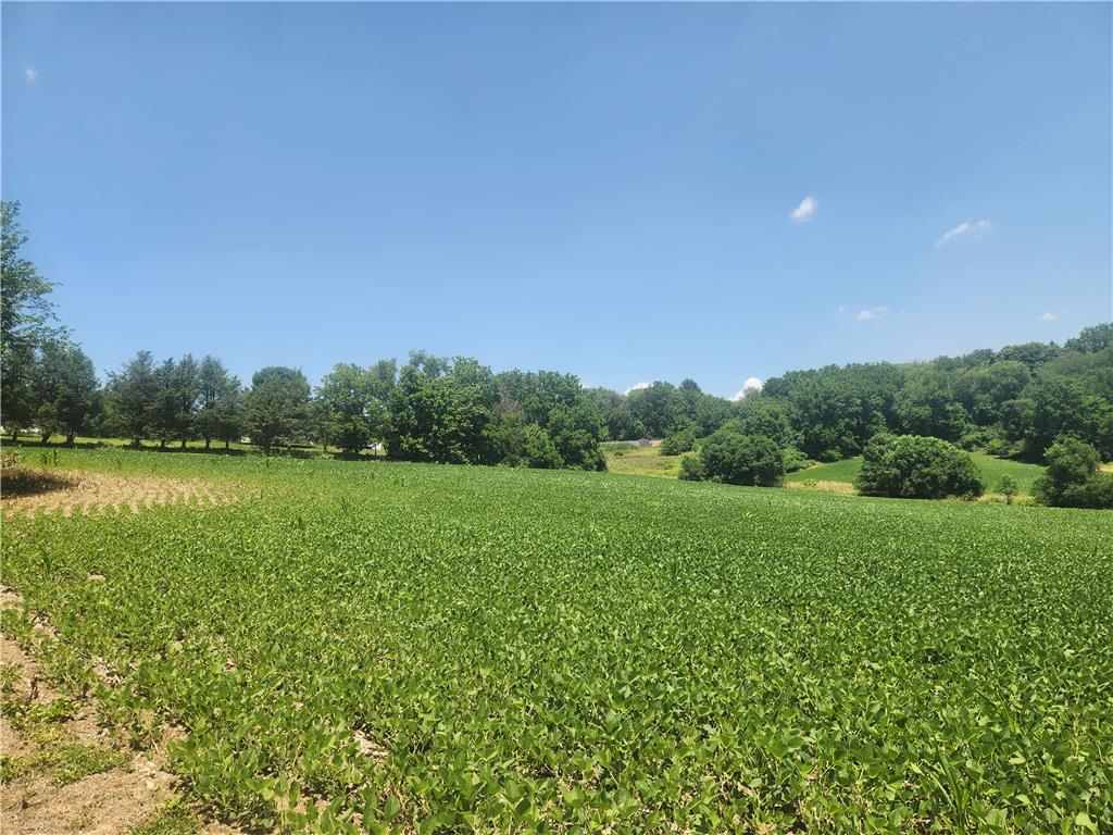 4381 Mauch Chunk Road Coplay, PA 18037 - Photo 3 of 4 Sprawling green fields meet a backdrop of lush woodlands under a clear blue sky.