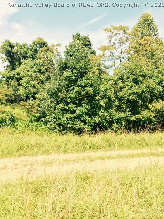 1 Slash Branch Road Branchland, WV 25506 - Photo 1 of 1 Gallery Image 1