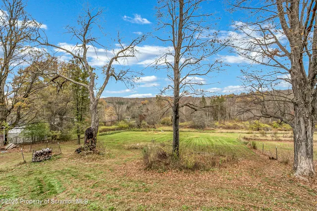 a backyard of a house with a yard and large tree