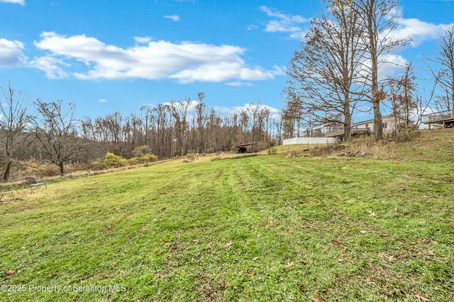 a backyard of a house with lots of green space