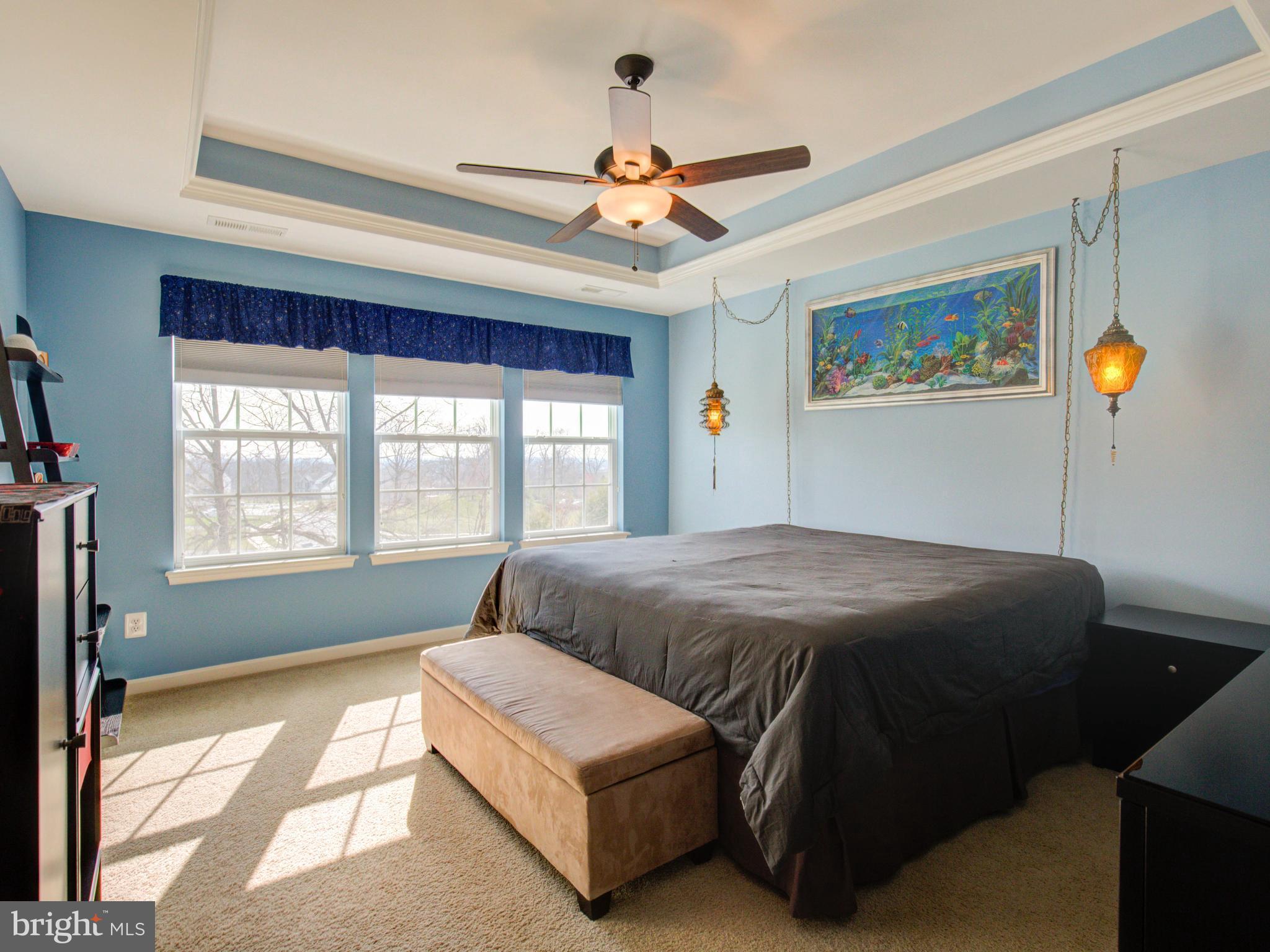 22674 Flowing Spring Square Ashburn, VA 20148 - Photo 14 of 30 Bedroom (Master) with tray ceiling and lots of
