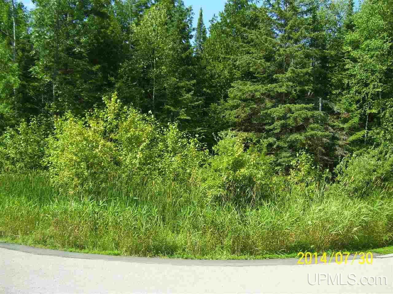 Tbd Highlanding Road Bark River, MI 49807 - Photo 1 of 3