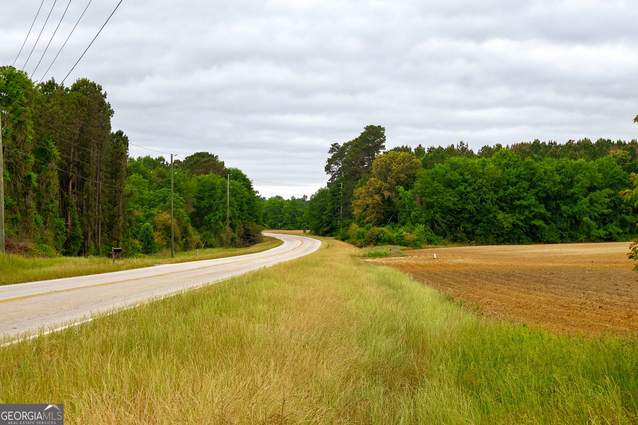 1 Highway 80 Stapleton Ga 30823 Stapleton, GA 30823 - Photo 12 of 15 a view of a big yard with large trees