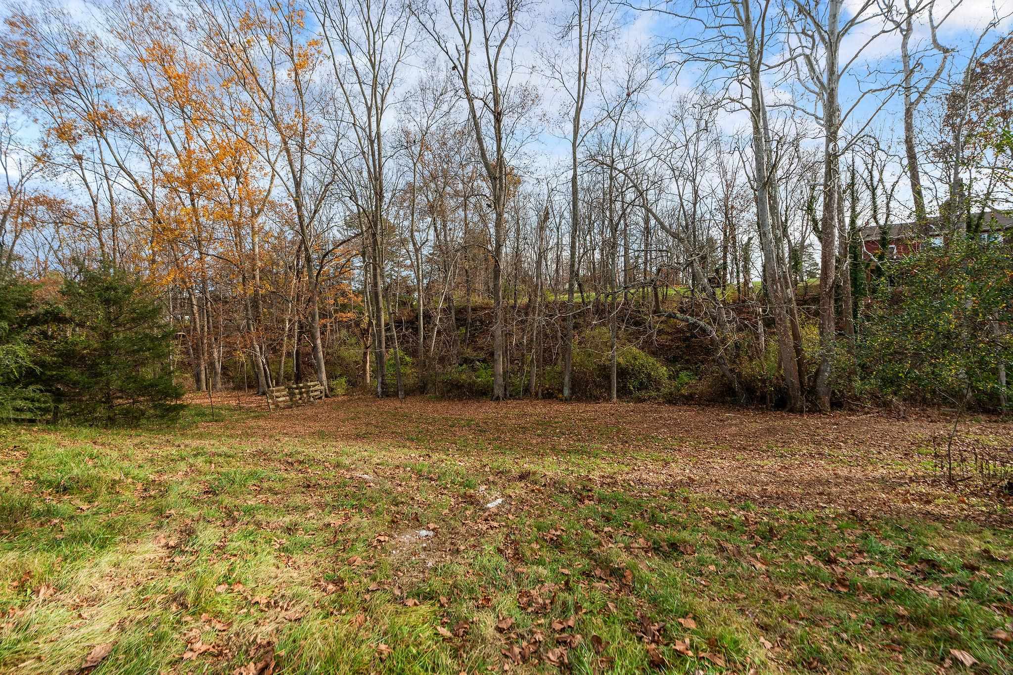 444 Trinity Point Road Swoope, VA 24479 - Photo 54 of 75 a view of a field with trees in the background