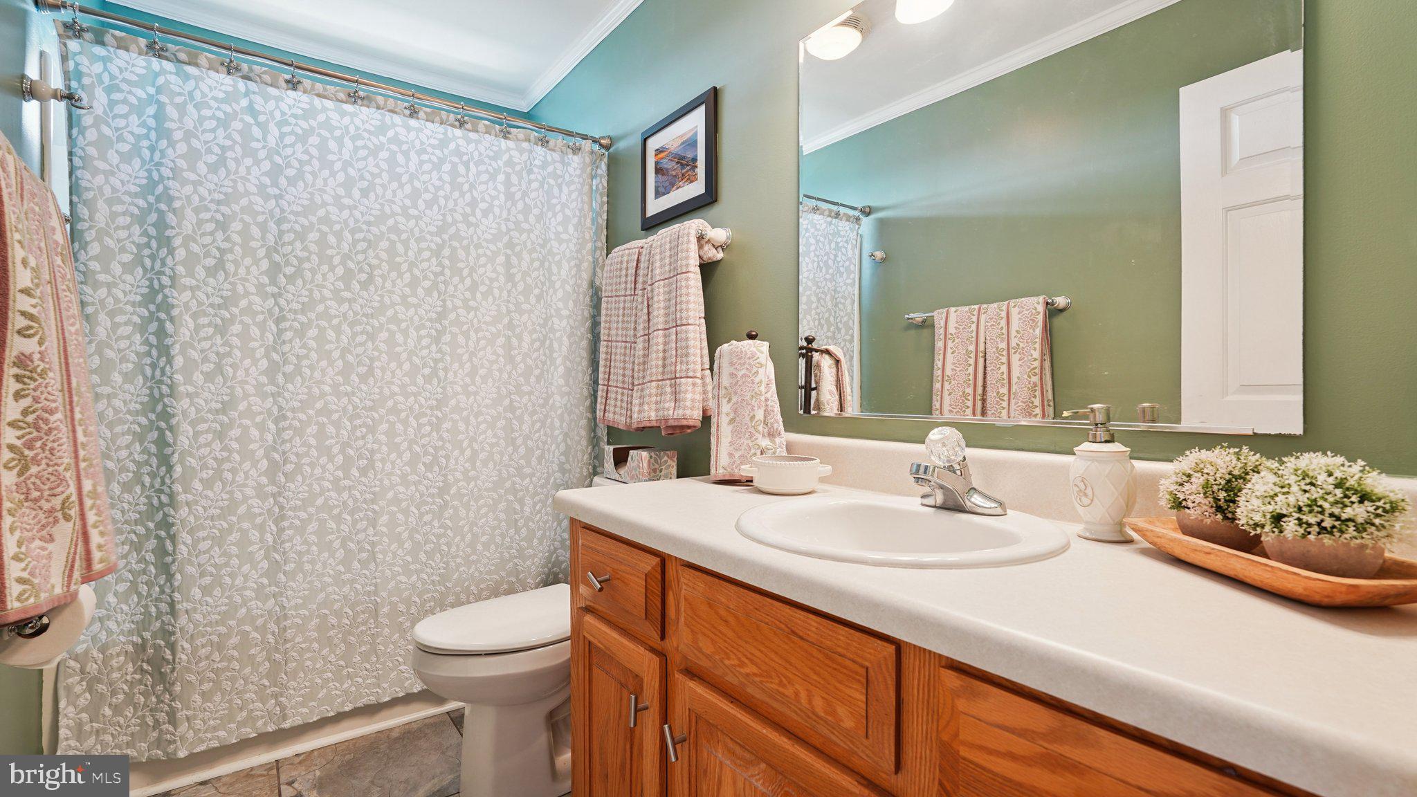 4387 Coles Point Road Hague, VA 22469 - Photo 24 of 39 a bathroom with a sink a toilet and shower curtain