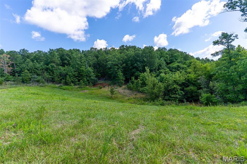 10450 Ok Road Bonne Terre, MO 63628 - Photo 79 of 93