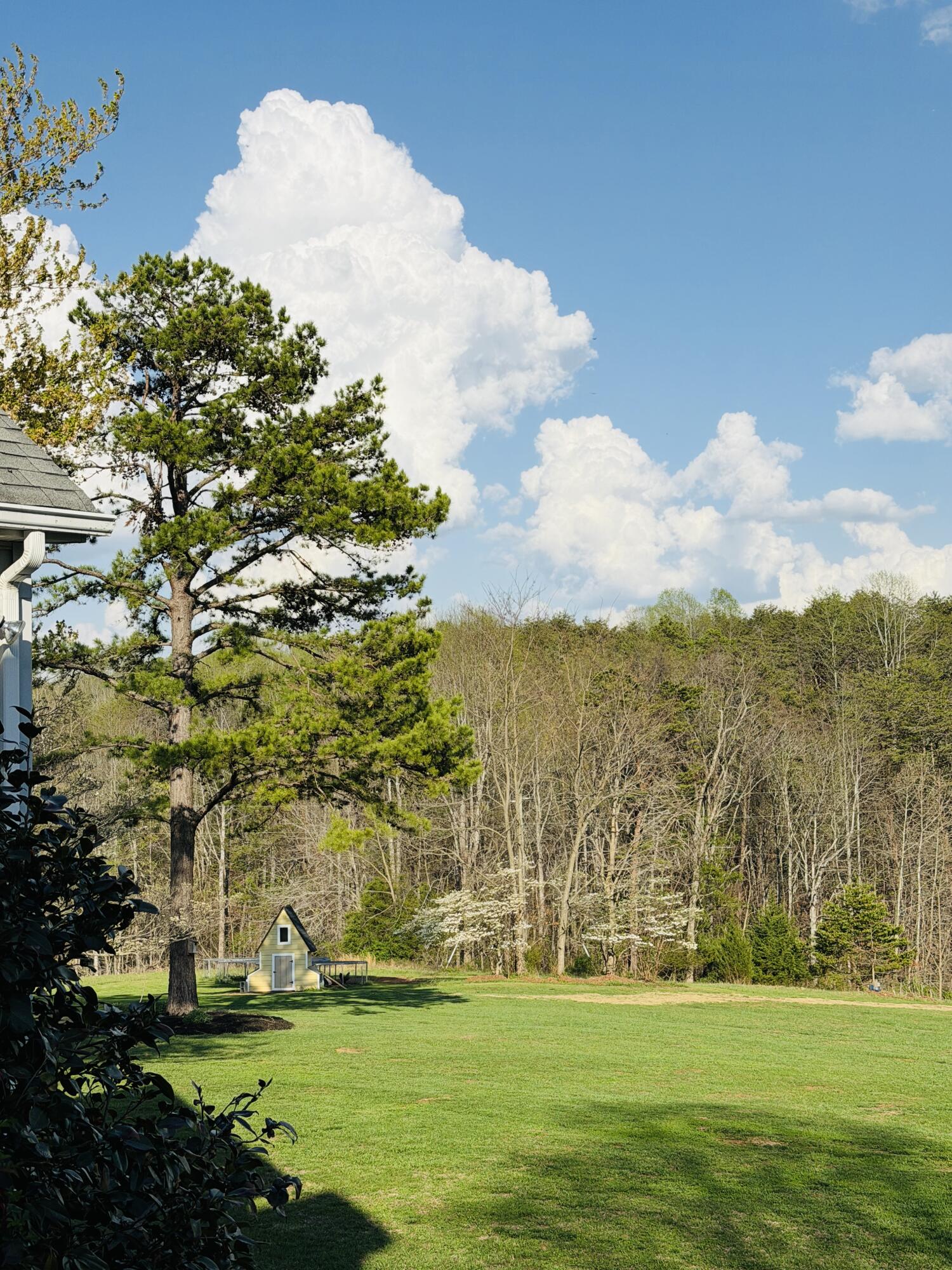 2844 Fairview Church Road Huddleston, VA 24104 - Photo 13 of 76 IMG_3068