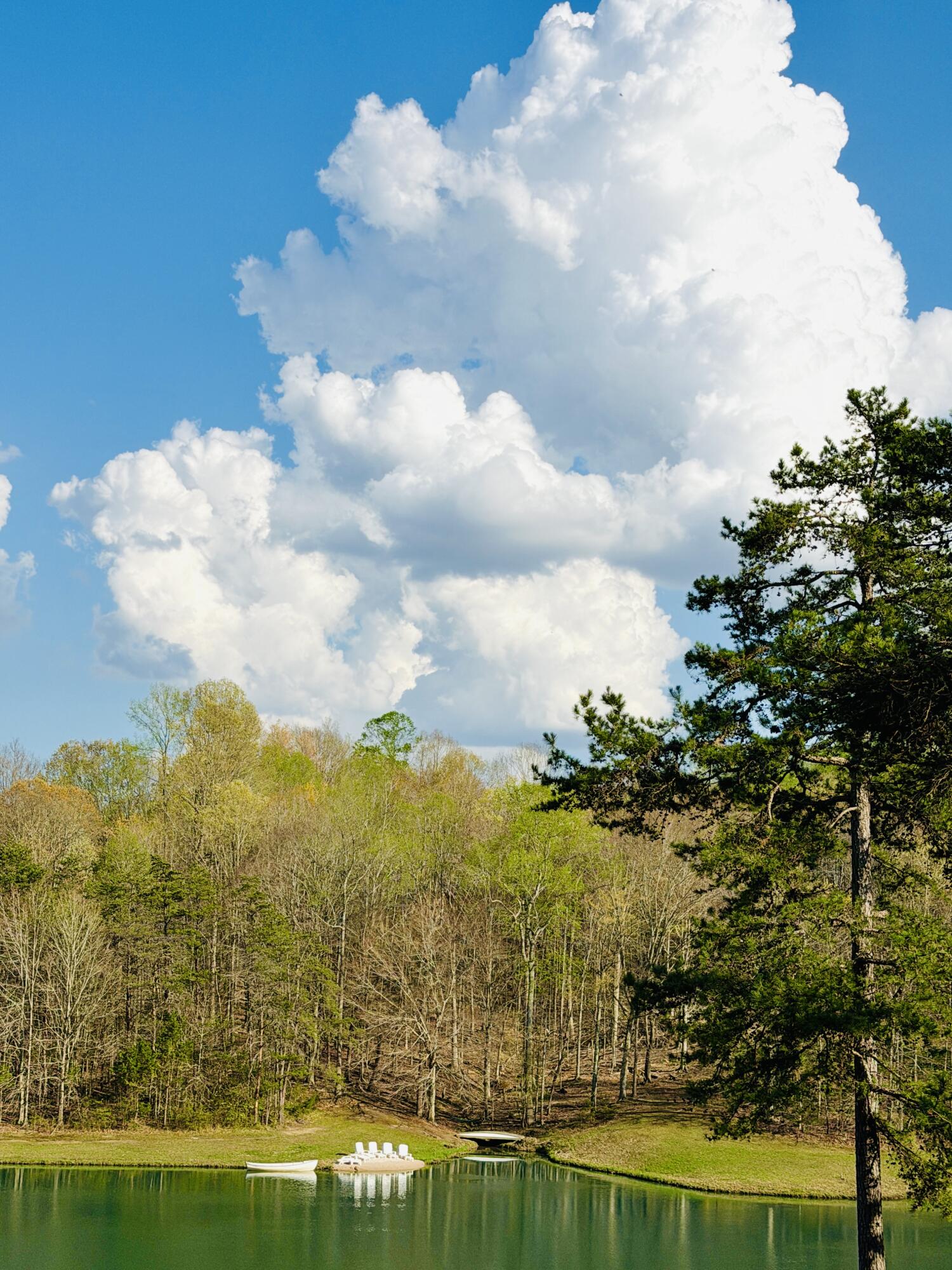 2844 Fairview Church Road Huddleston, VA 24104 - Photo 14 of 76 IMG_3075