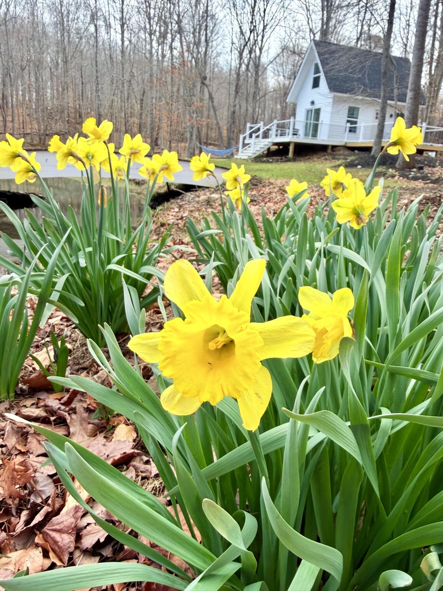 2844 Fairview Church Road Huddleston, VA 24104 - Photo 31 of 76 IMG_1699