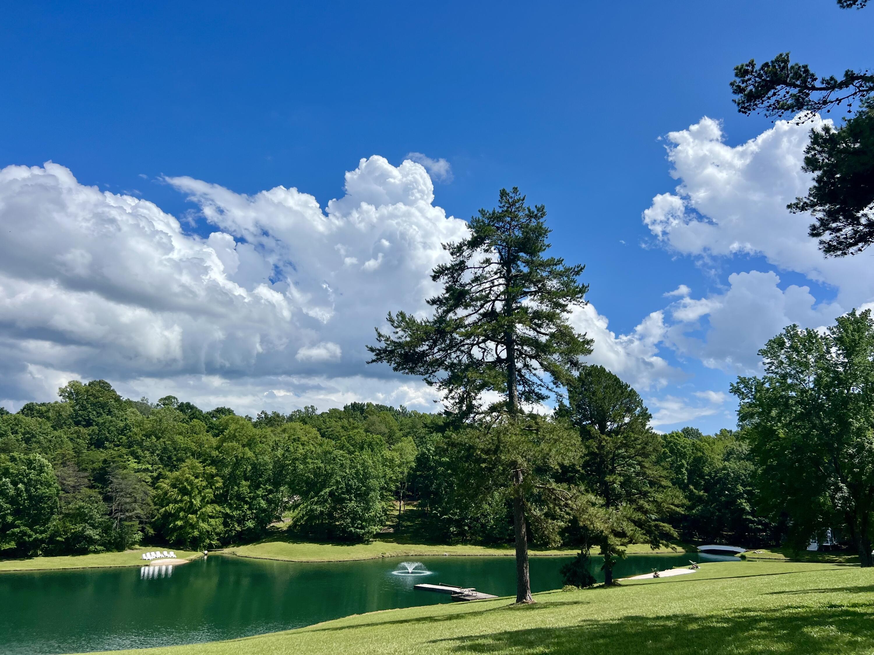 2844 Fairview Church Road Huddleston, VA 24104 - Photo 34 of 76 IMG_4553