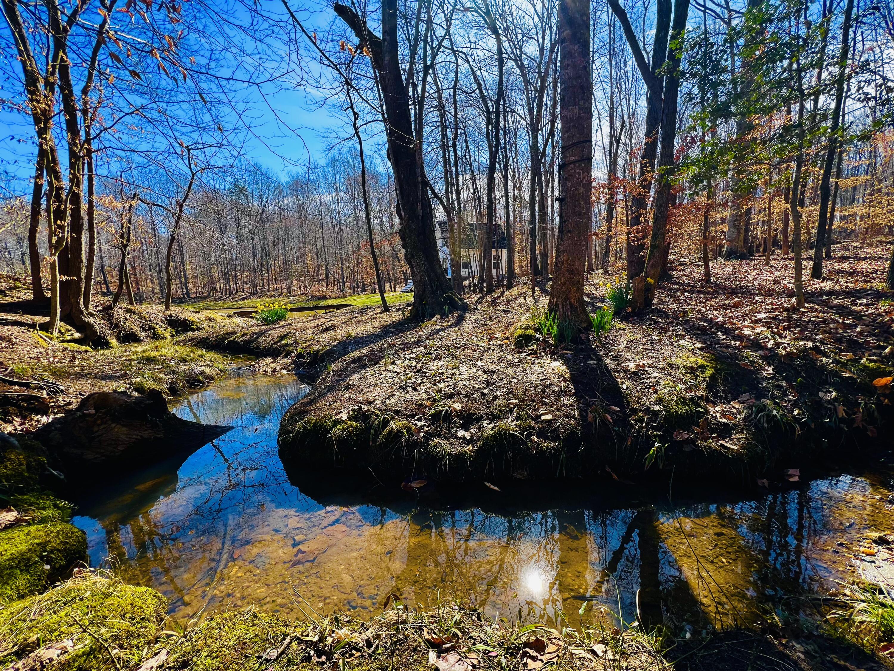 2844 Fairview Church Road Huddleston, VA 24104 - Photo 36 of 76 IMG_9439