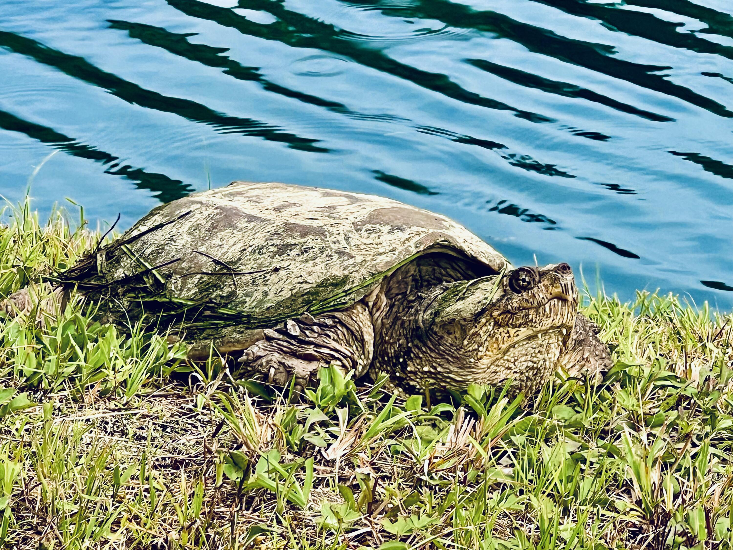 2844 Fairview Church Road Huddleston, VA 24104 - Photo 37 of 76 IMG_4448