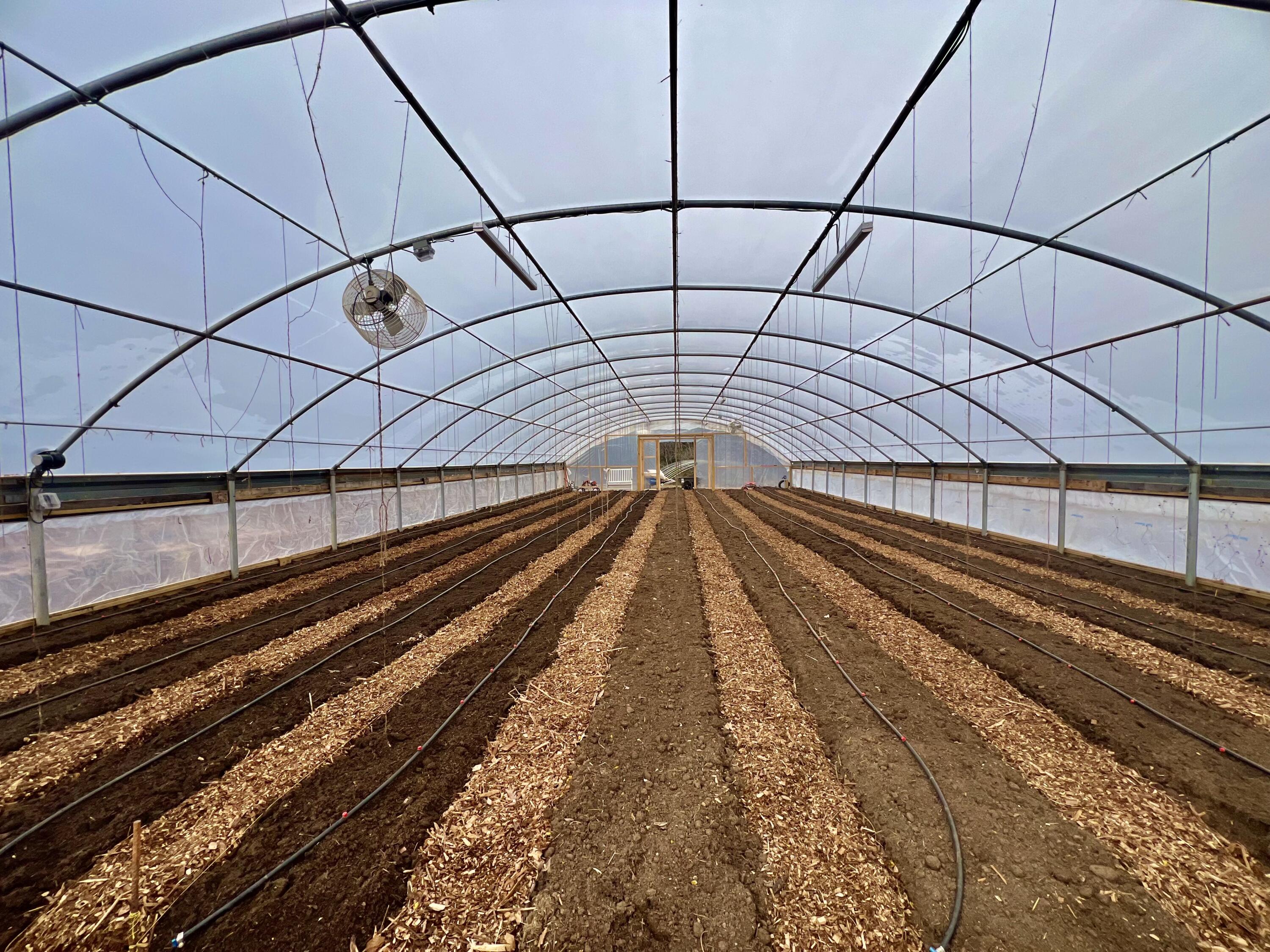 2844 Fairview Church Road Huddleston, VA 24104 - Photo 39 of 76 IMG_8255