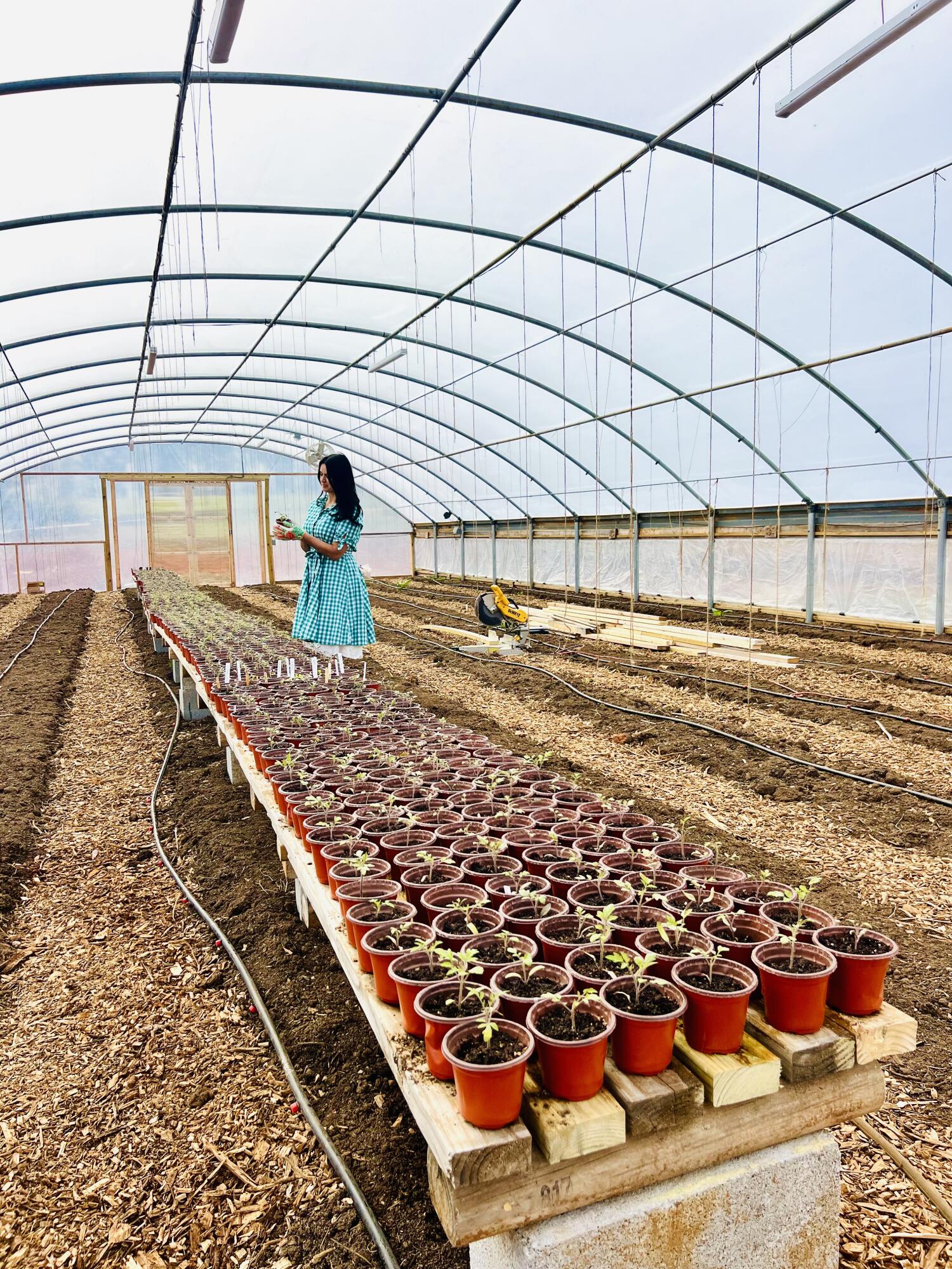 2844 Fairview Church Road Huddleston, VA 24104 - Photo 40 of 76 IMG_0690