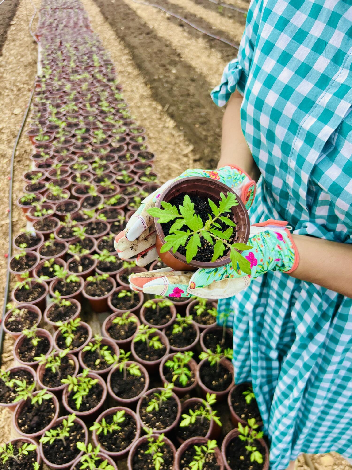 2844 Fairview Church Road Huddleston, VA 24104 - Photo 41 of 76 IMG_0810