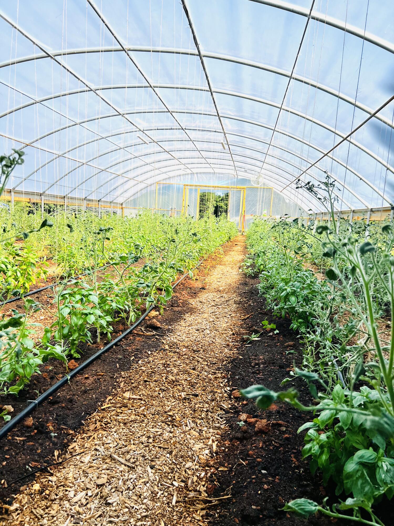 2844 Fairview Church Road Huddleston, VA 24104 - Photo 42 of 76 IMG_8174