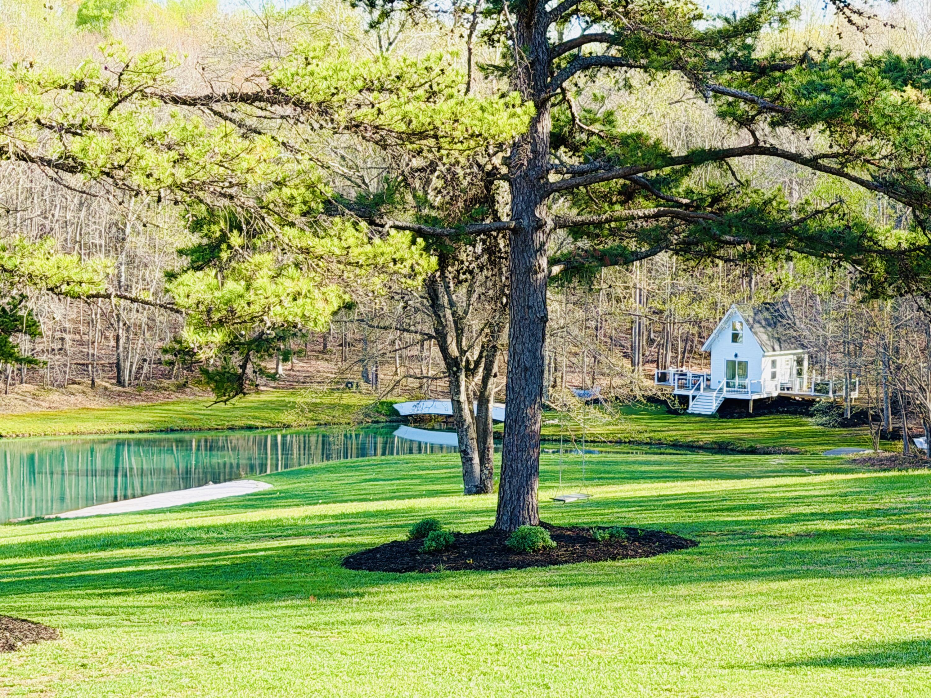 2844 Fairview Church Road Huddleston, VA 24104 - Photo 43 of 101 a view of a park with large trees