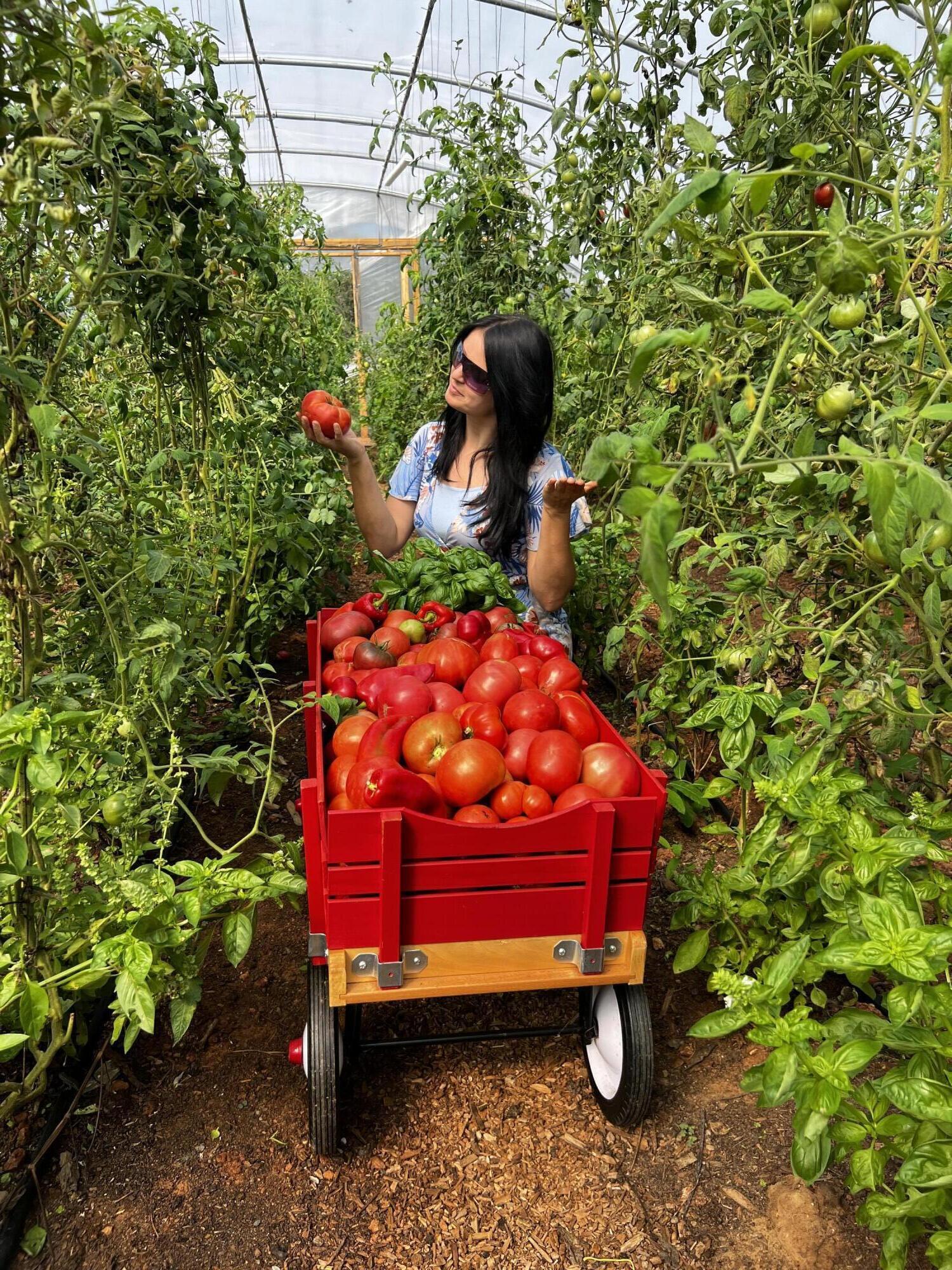 2844 Fairview Church Road Huddleston, VA 24104 - Photo 43 of 76 IMG_4372