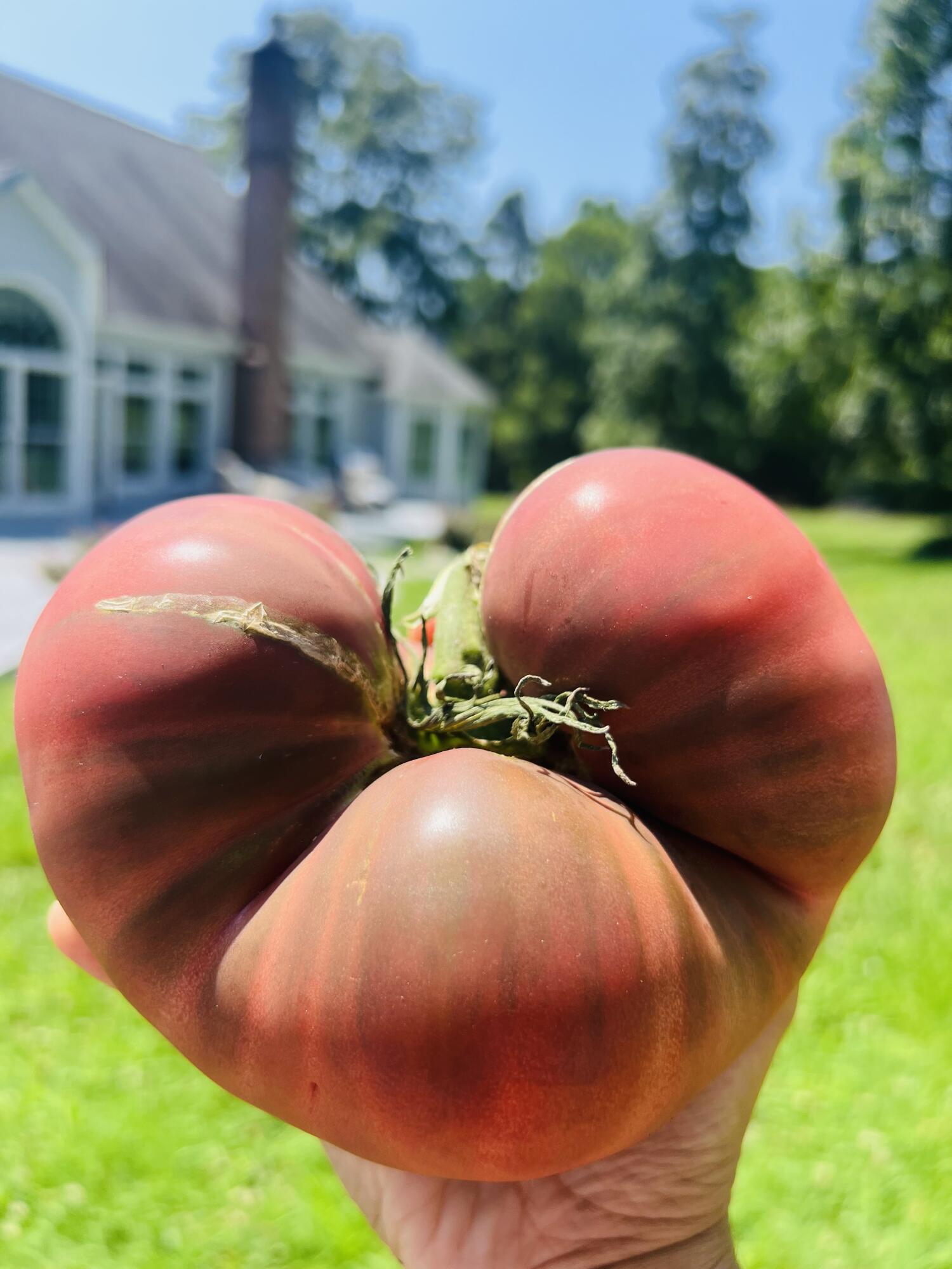 2844 Fairview Church Road Huddleston, VA 24104 - Photo 44 of 76 IMG_5220