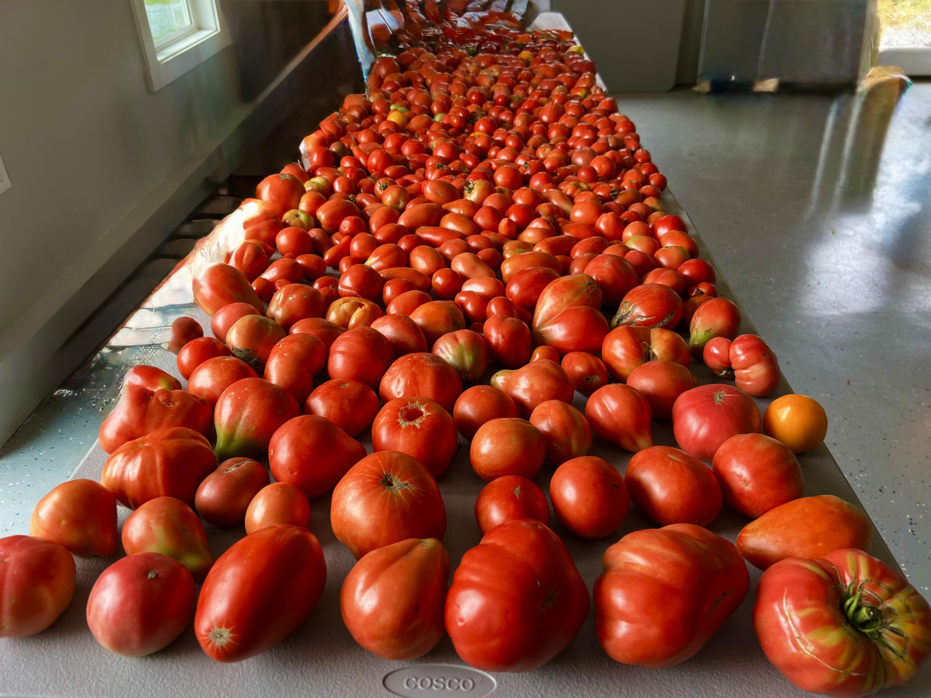 2844 Fairview Church Road Huddleston, VA 24104 - Photo 46 of 76 IMG_4170