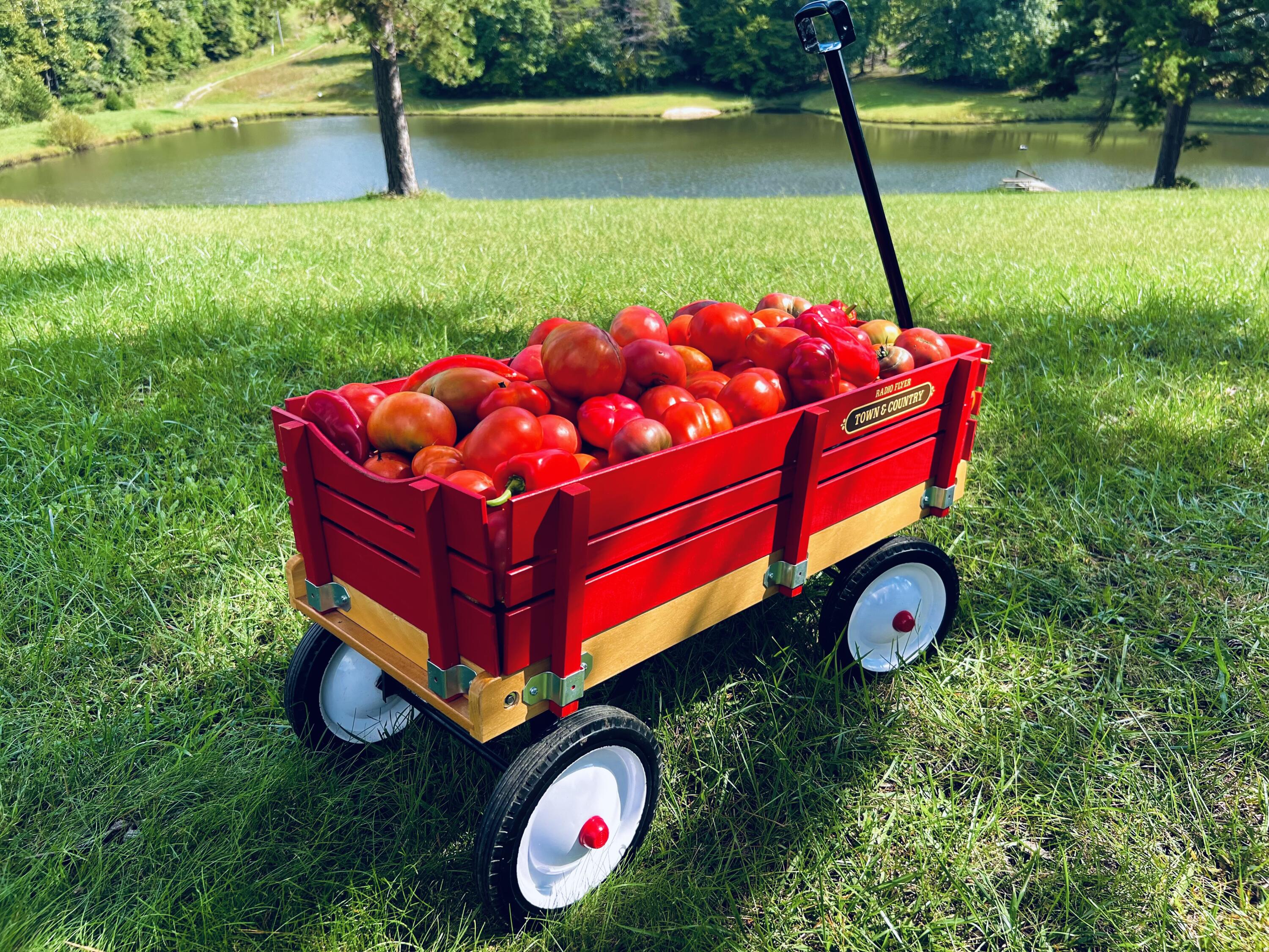 2844 Fairview Church Road Huddleston, VA 24104 - Photo 47 of 76 IMG_4573