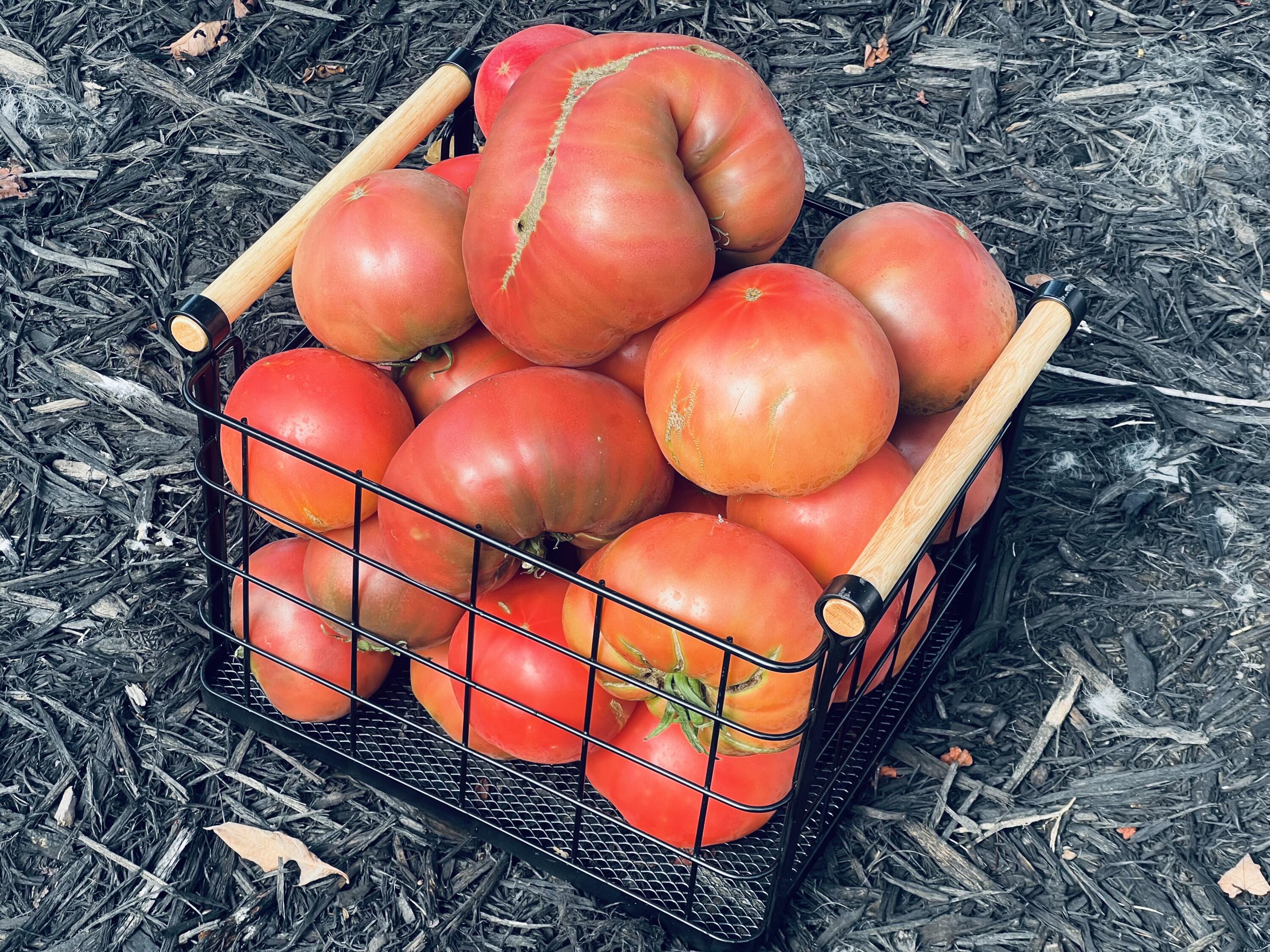 2844 Fairview Church Road Huddleston, VA 24104 - Photo 48 of 76 IMG_5158