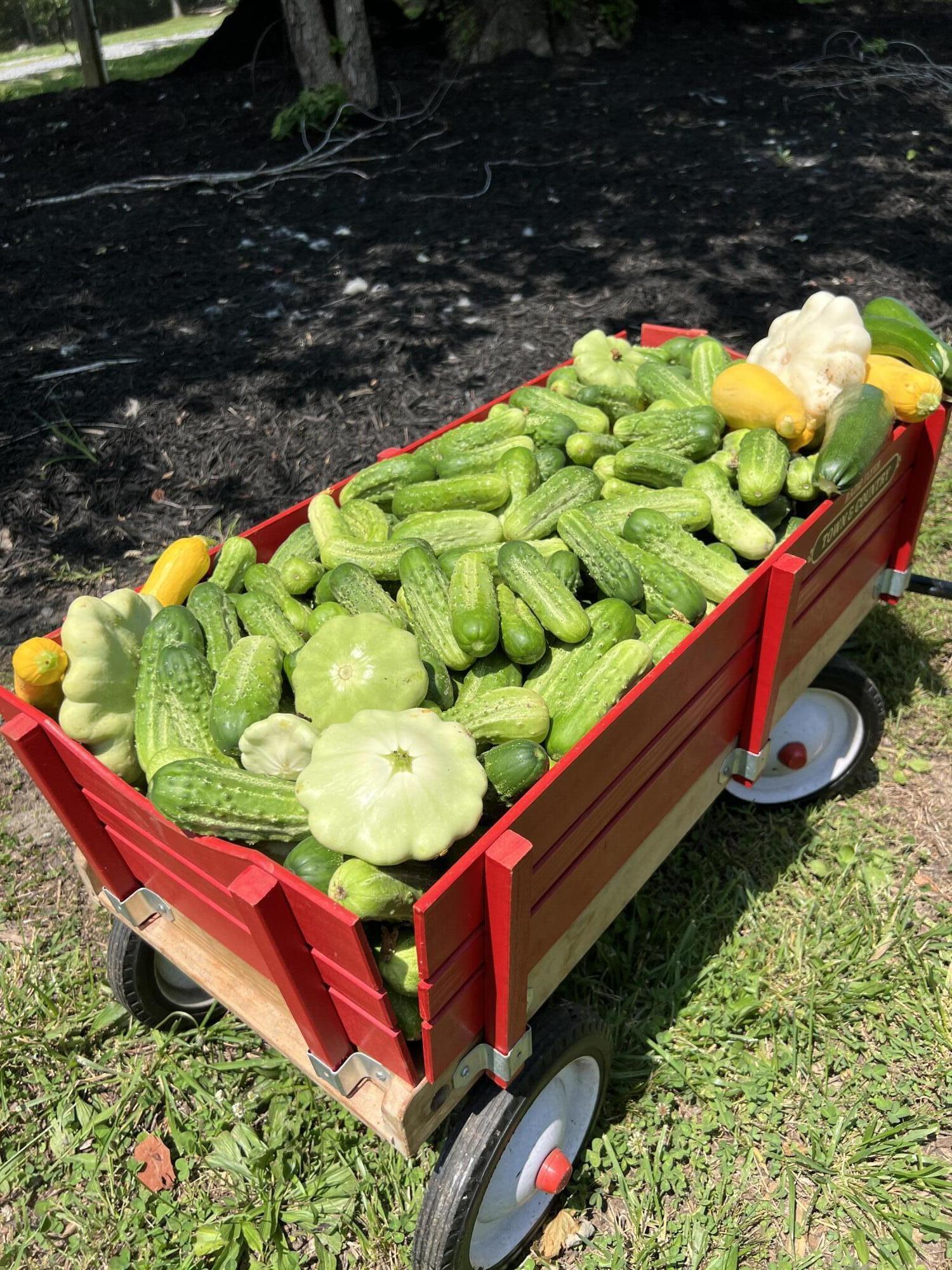 2844 Fairview Church Road Huddleston, VA 24104 - Photo 51 of 76 IMG_1771