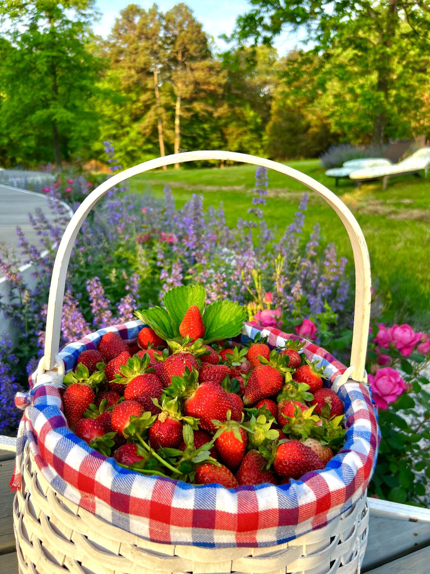 2844 Fairview Church Road Huddleston, VA 24104 - Photo 52 of 76 IMG_4336