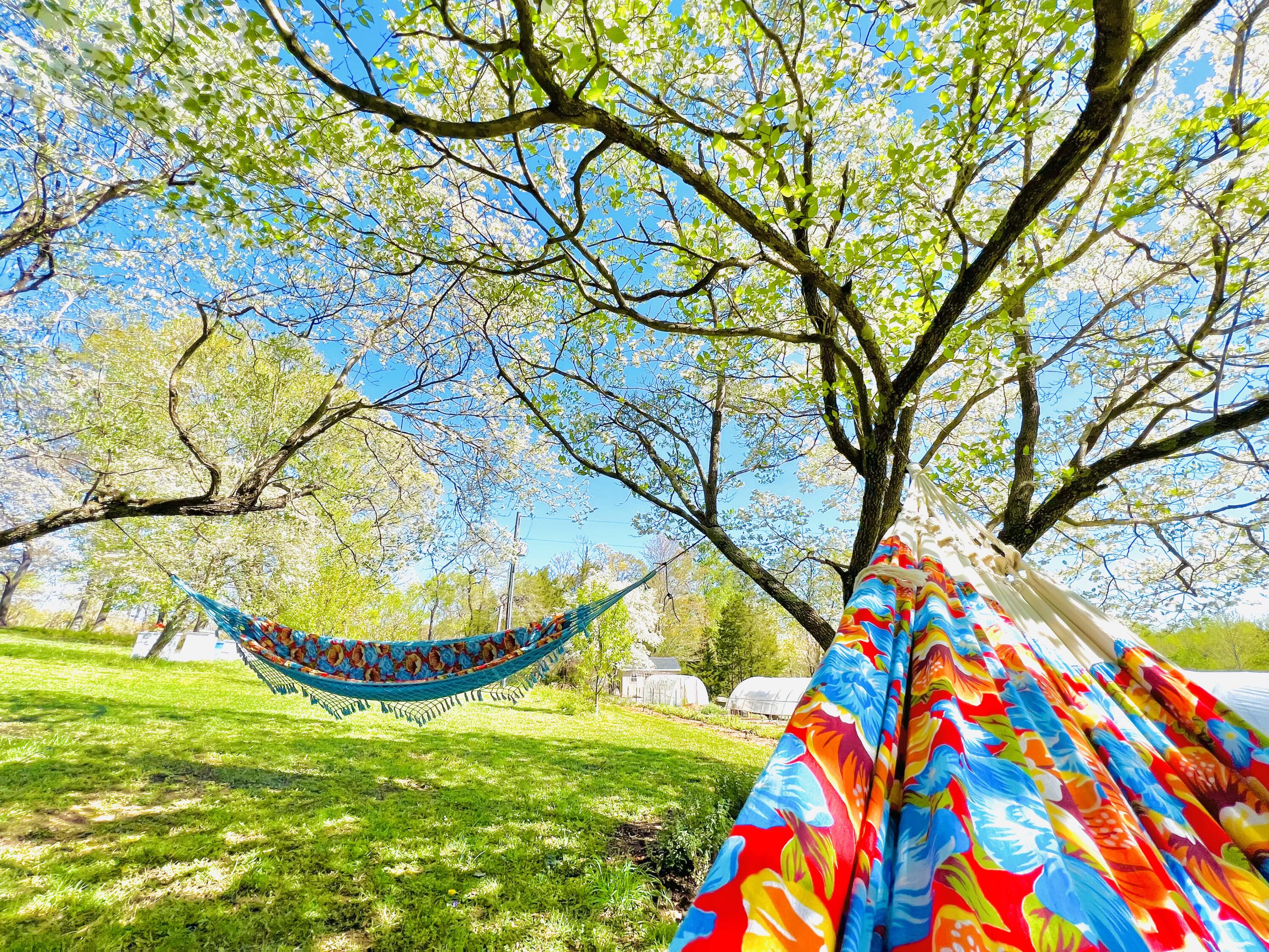 2844 Fairview Church Road Huddleston, VA 24104 - Photo 54 of 76 IMG_6894