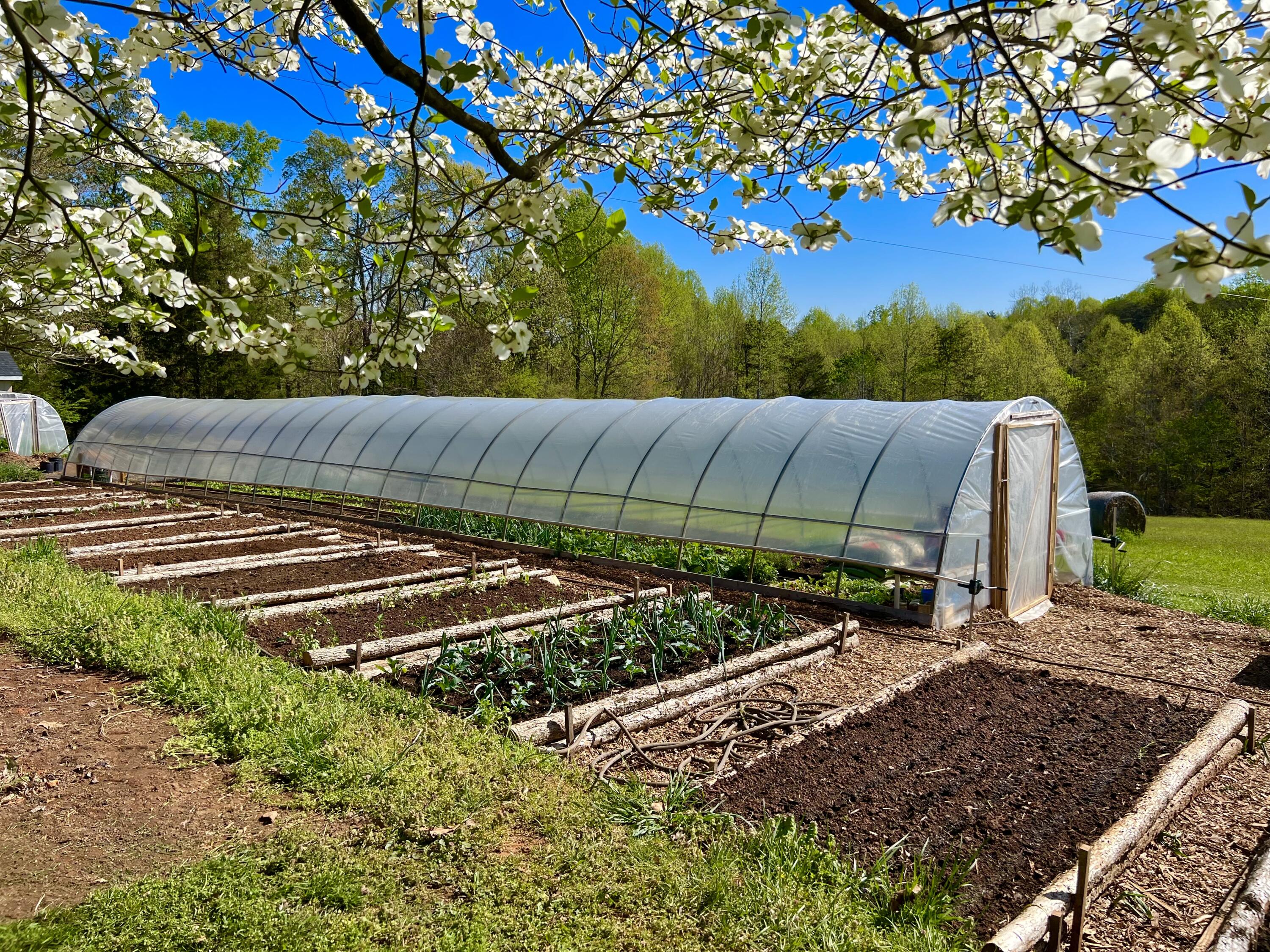 2844 Fairview Church Road Huddleston, VA 24104 - Photo 55 of 76 IMG_6863