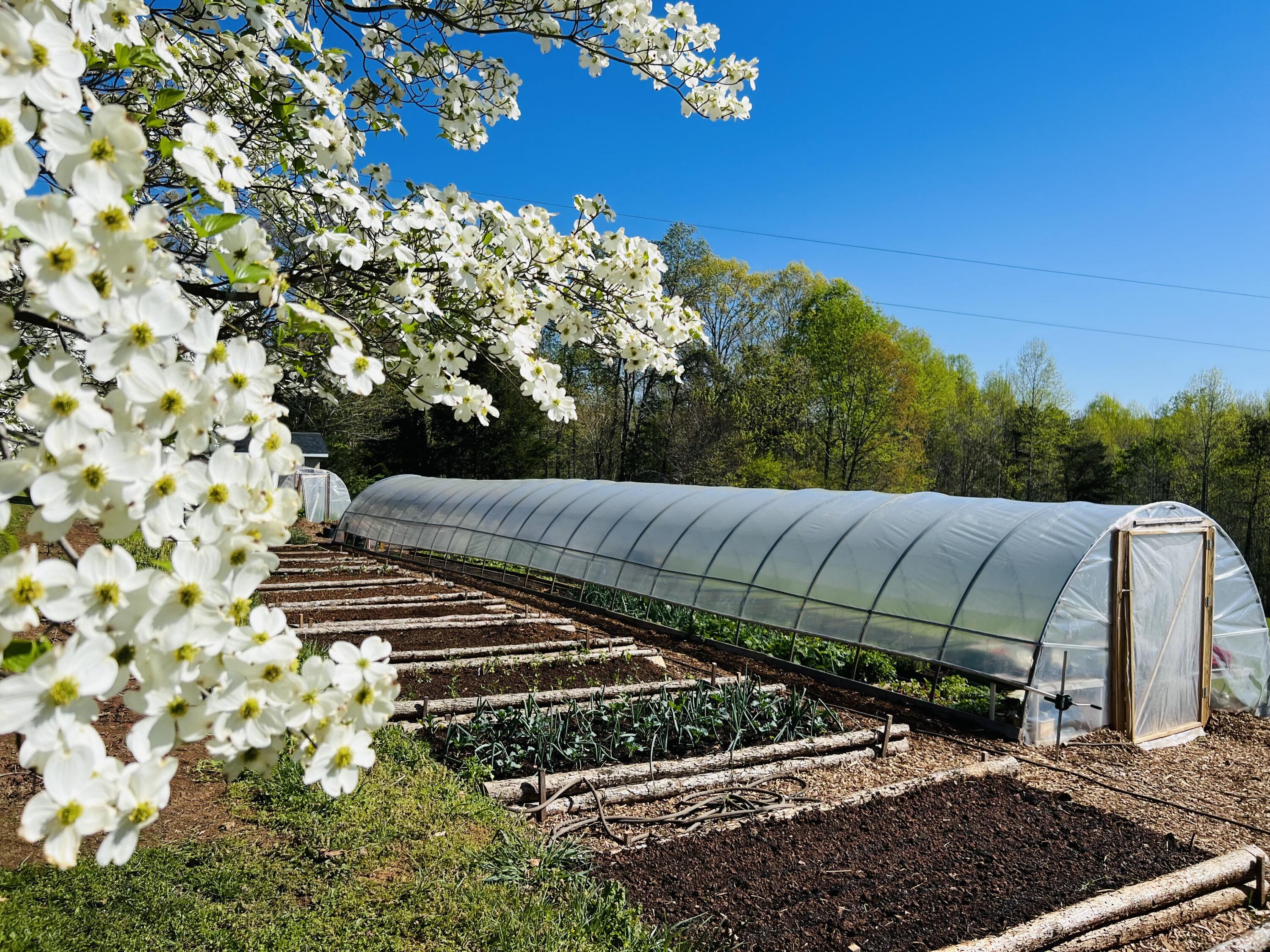 2844 Fairview Church Road Huddleston, VA 24104 - Photo 56 of 76 IMG_6849