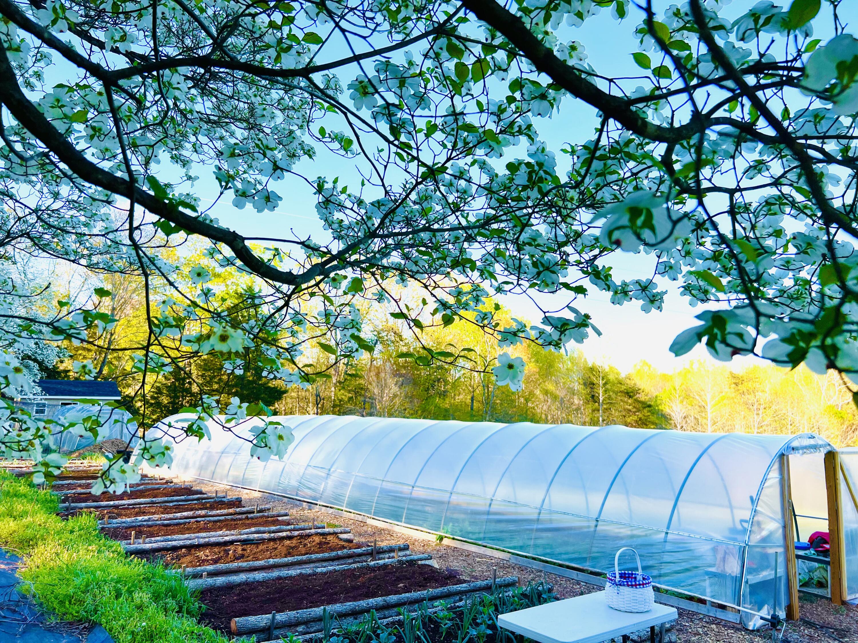 2844 Fairview Church Road Huddleston, VA 24104 - Photo 58 of 76 IMG_6374