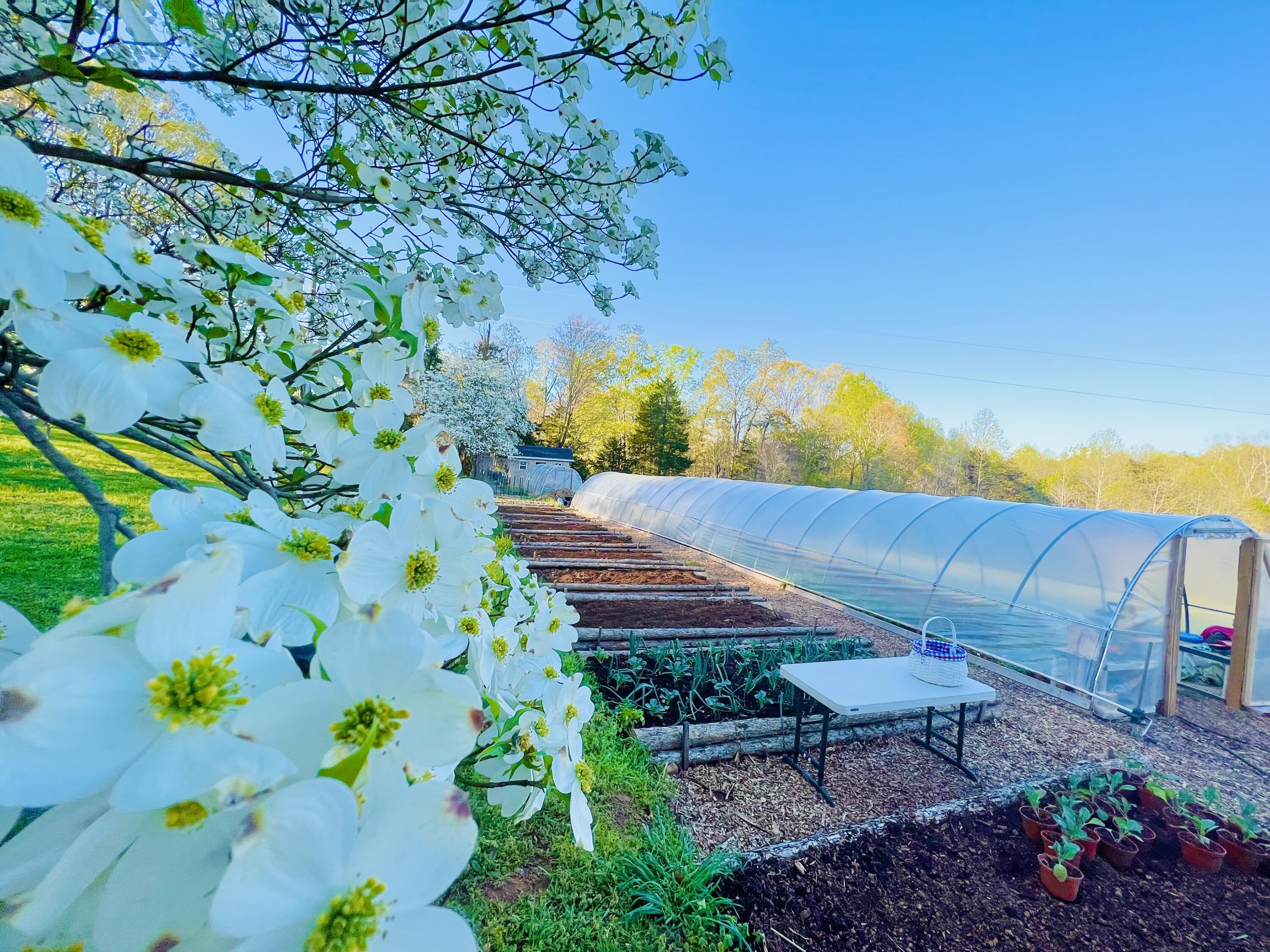 2844 Fairview Church Road Huddleston, VA 24104 - Photo 59 of 76 IMG_6376