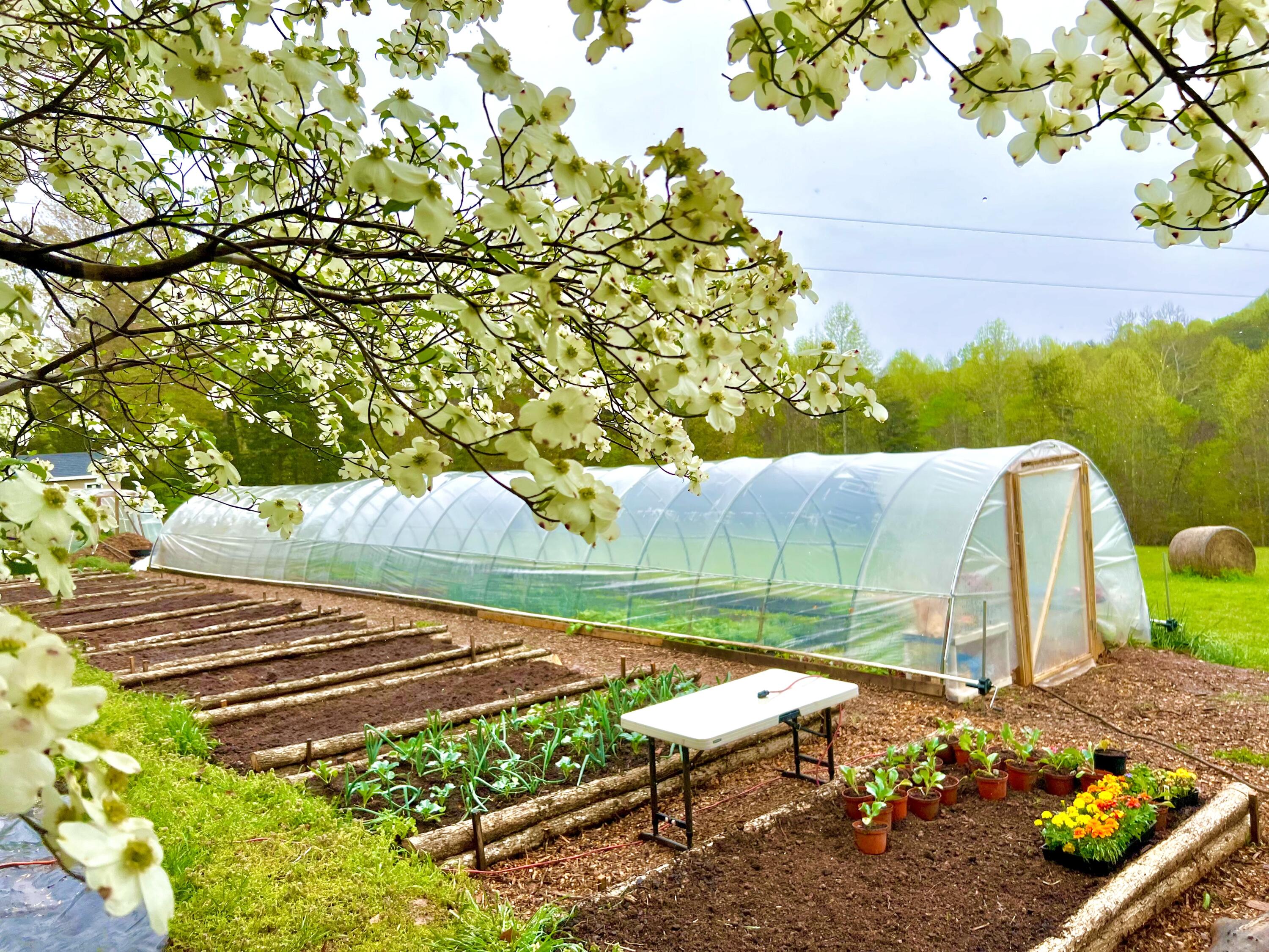 2844 Fairview Church Road Huddleston, VA 24104 - Photo 60 of 76 IMG_6305