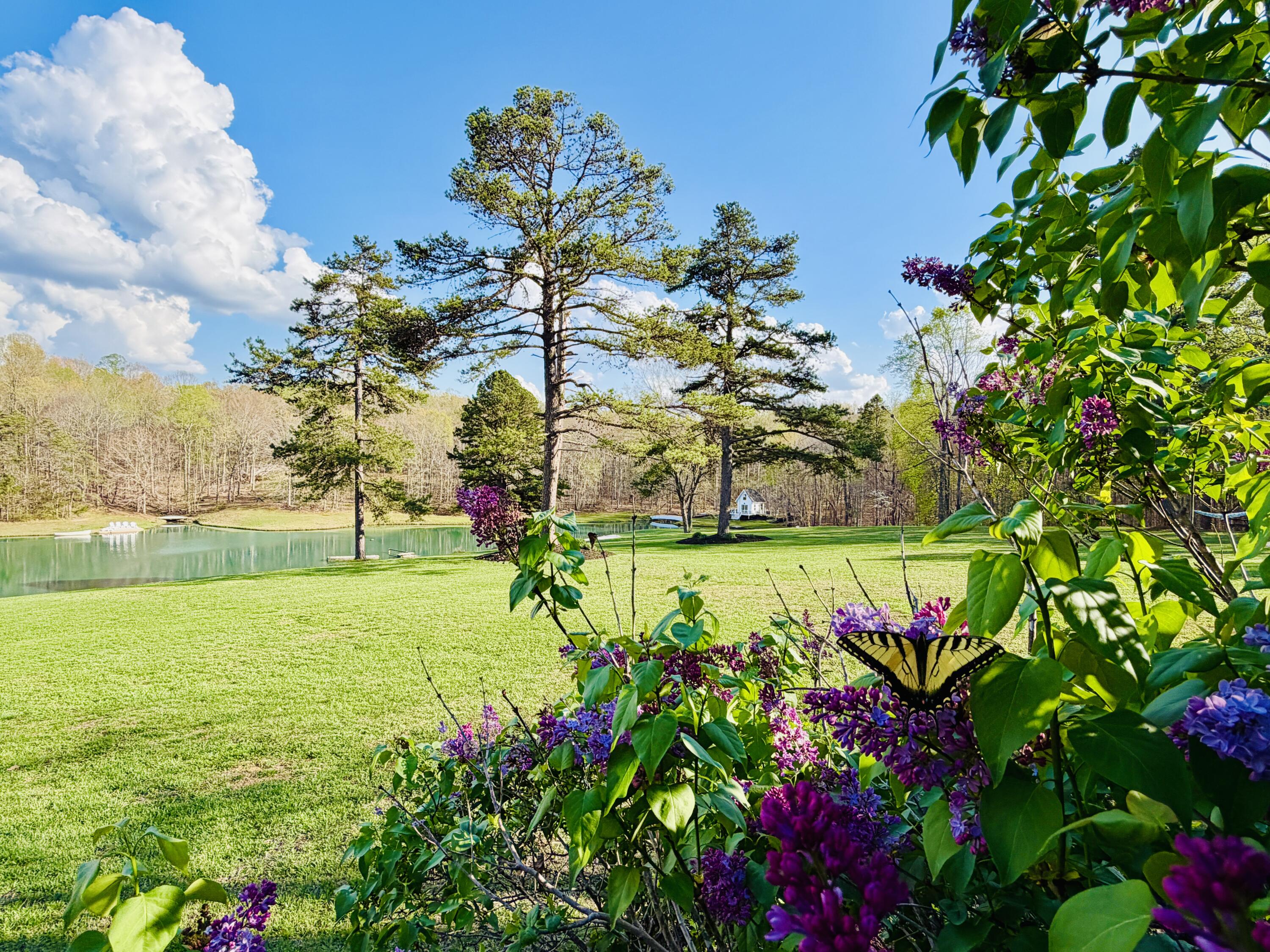 2844 Fairview Church Road Huddleston, VA 24104 - Photo 6 of 76 IMG_3086 2