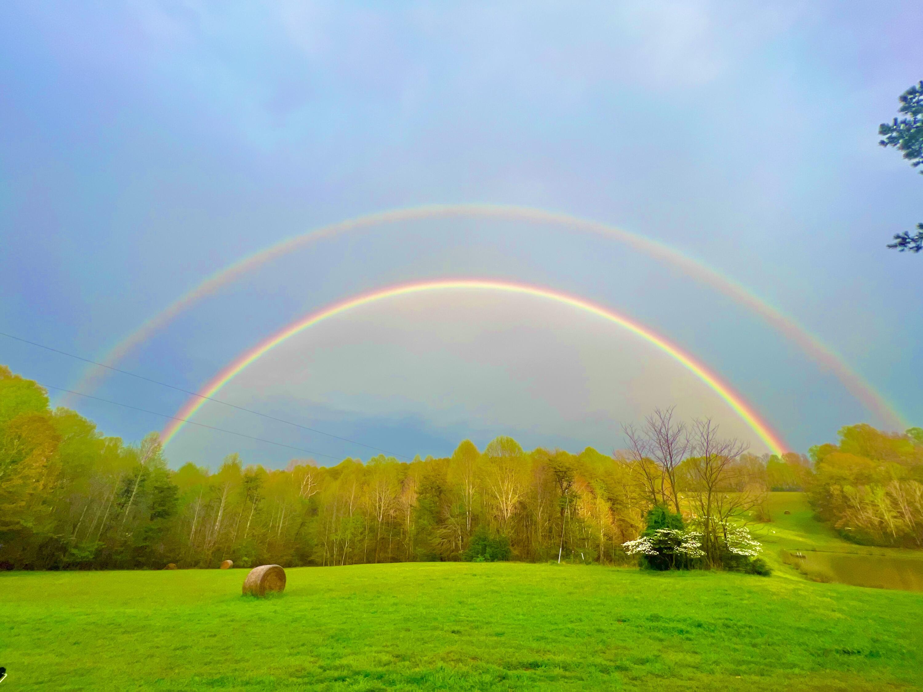 2844 Fairview Church Road Huddleston, VA 24104 - Photo 61 of 76 IMG_5130