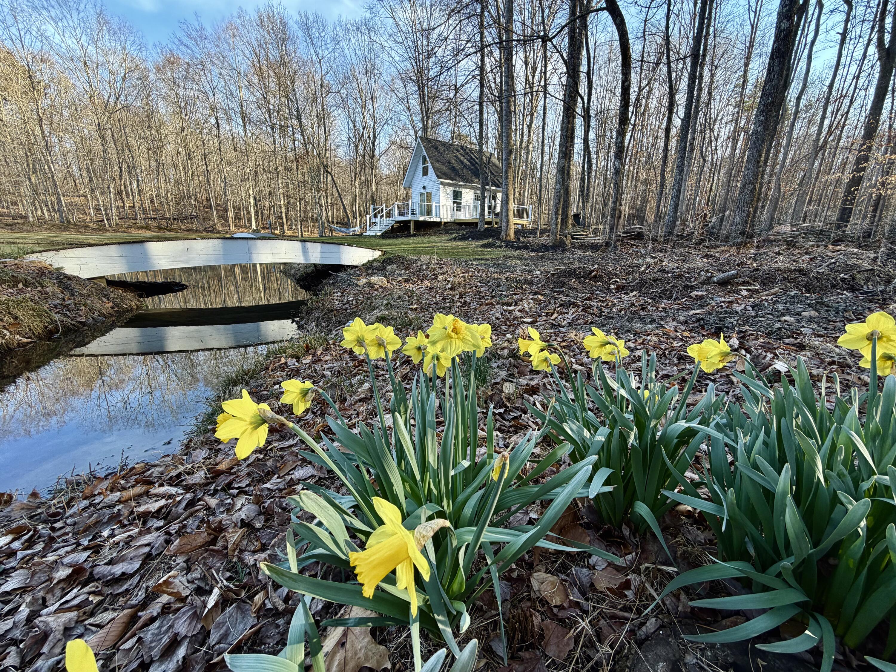 2844 Fairview Church Road Huddleston, VA 24104 - Photo 62 of 101 a view of a swimming pool with some plants and large trees