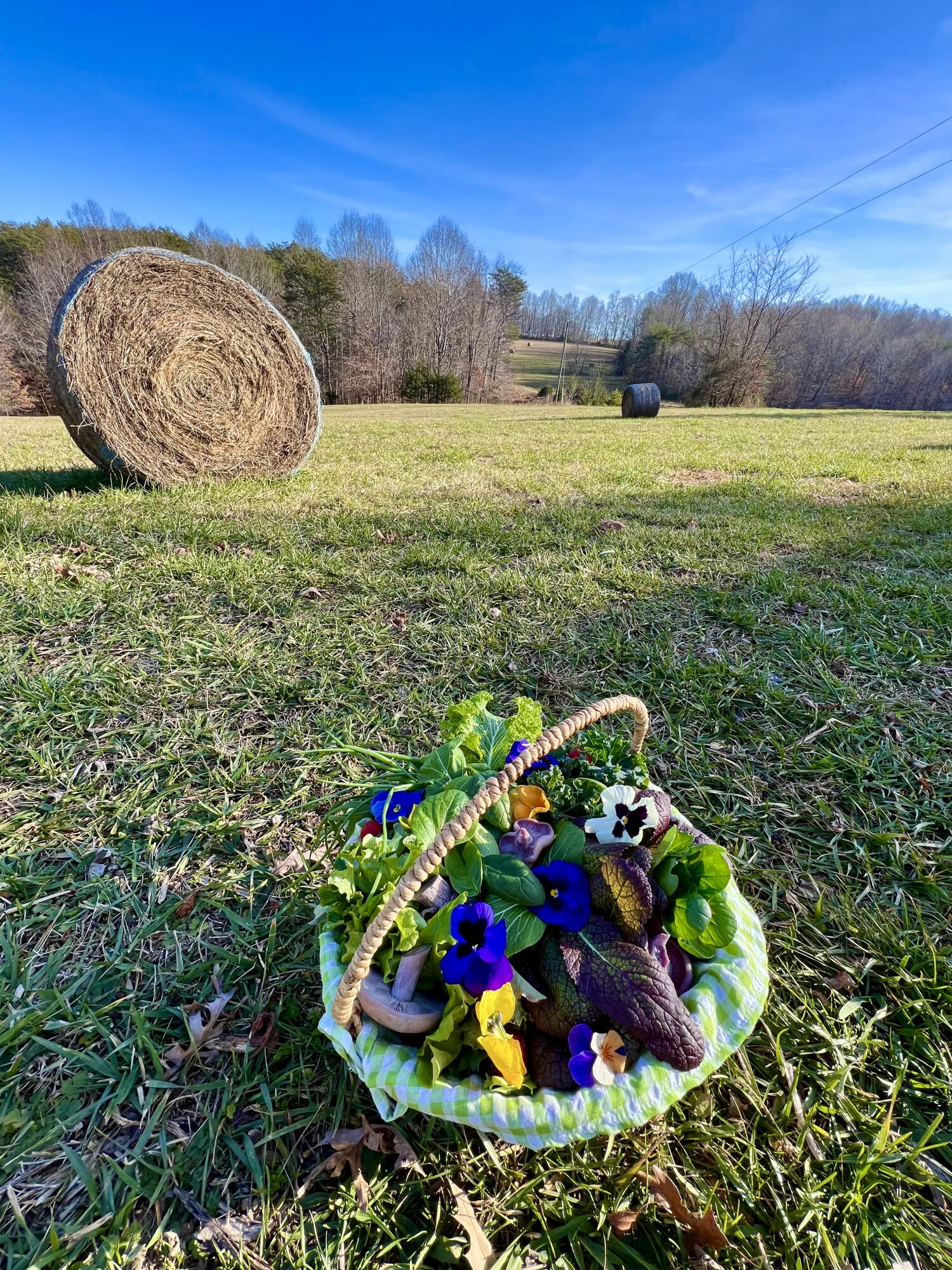 2844 Fairview Church Road Huddleston, VA 24104 - Photo 62 of 76 IMG_2091