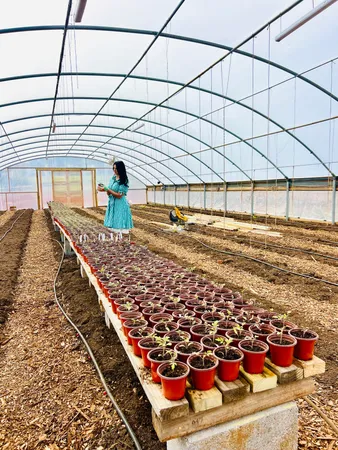 $2,895,000 | 2844 Fairview Church Road, Huddleston, VA 24104