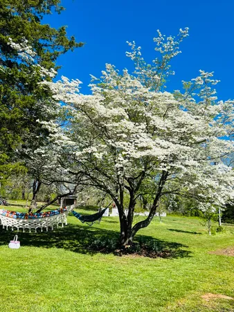$2,895,000 | 2844 Fairview Church Road, Huddleston, VA 24104