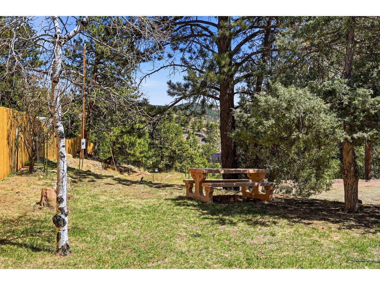 280 Bunny Road Bailey, CO 80421 - Photo 44 of 49