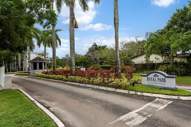 a view of a street with palm trees