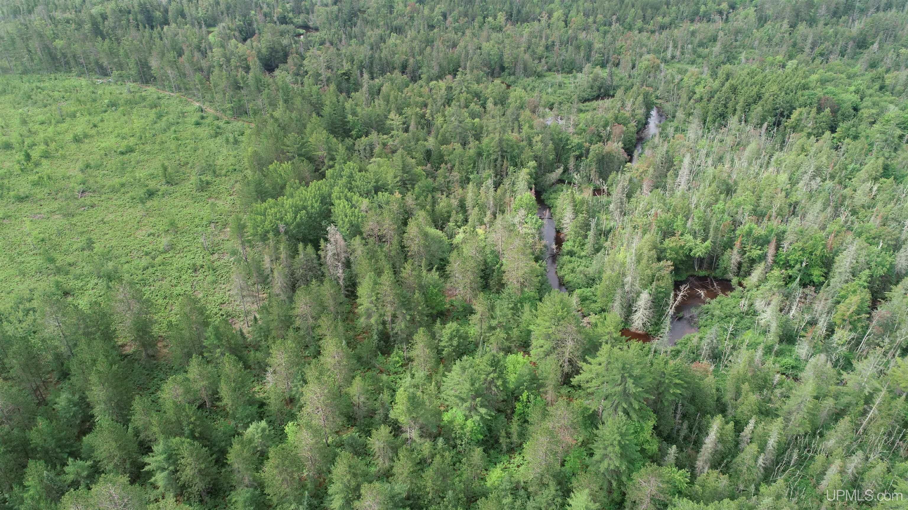 Tbd Tbd Hay Meadow Road Manistique, MI 49854 - Photo 16 of 51
