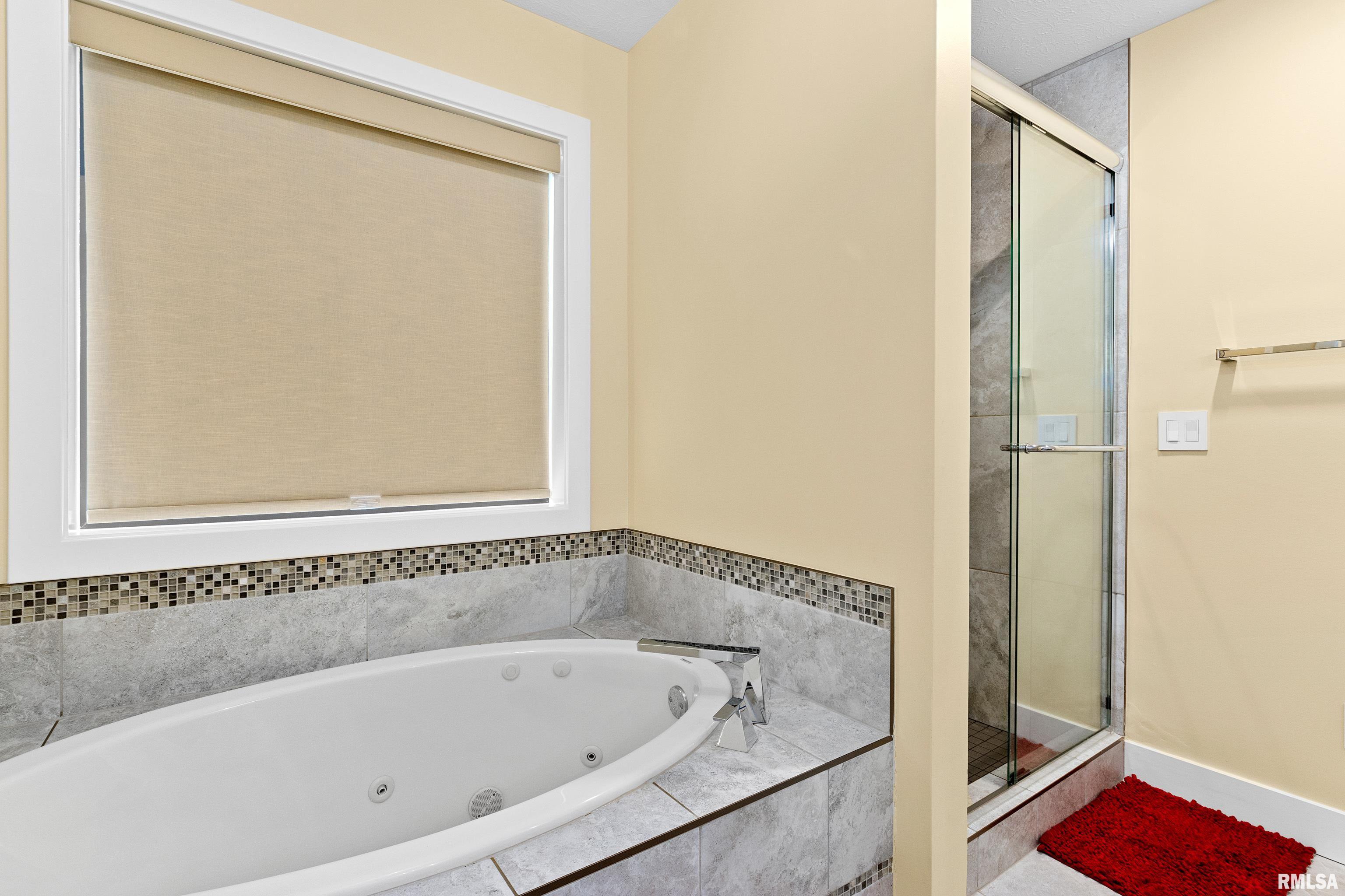 2817 West Lake Trail Court Dunlap, IL 61525 - Photo 21 of 55