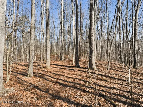 $330,000 | 180 Hill Road, Heiskell, TN 37754