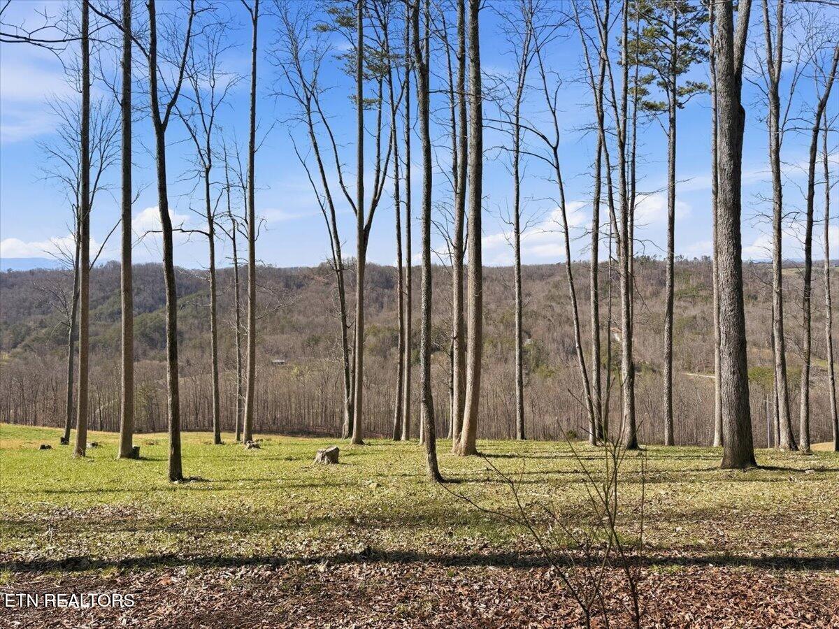 180 Hill Road Heiskell, TN 37754 - Photo 5 of 18 09-004_IMG_2021