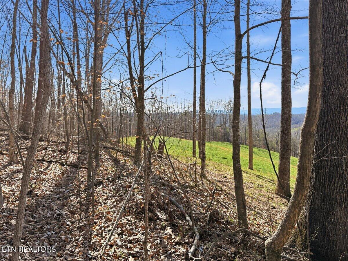 180 Hill Road Heiskell, TN 37754 - Photo 6 of 18 11-005_IMG_2022