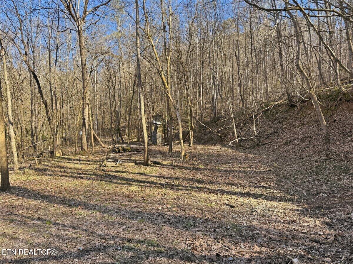 180 Hill Road Heiskell, TN 37754 - Photo 7 of 18 13-006_IMG_2023