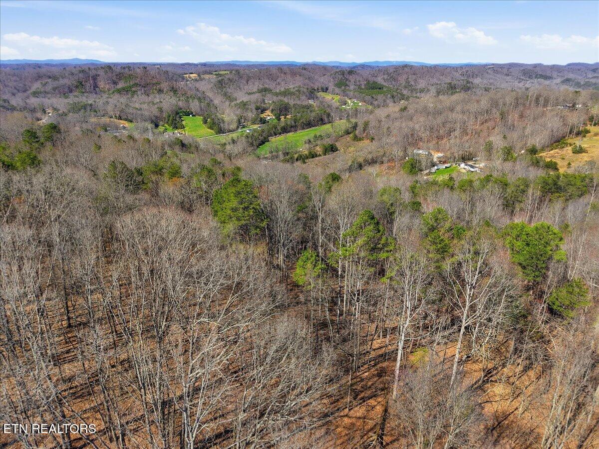 180 Hill Road Heiskell, TN 37754 - Photo 8 of 18 14-007_DJI_20260317154431_0119_D